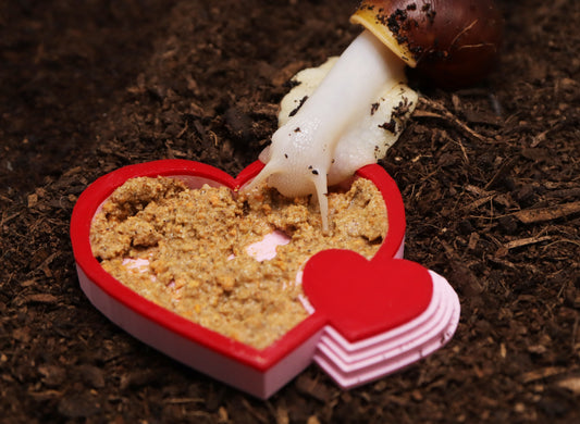 Heart-Shaped Food Bowl