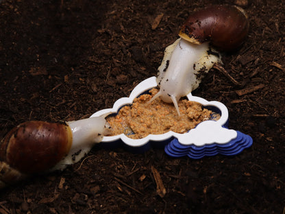 Cloud-Shaped Food Bowl