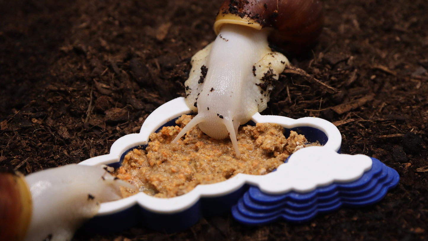 Cloud-Shaped Food Bowl