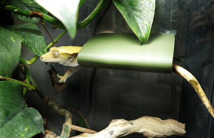 Gecko Tunnel Ledge Hide