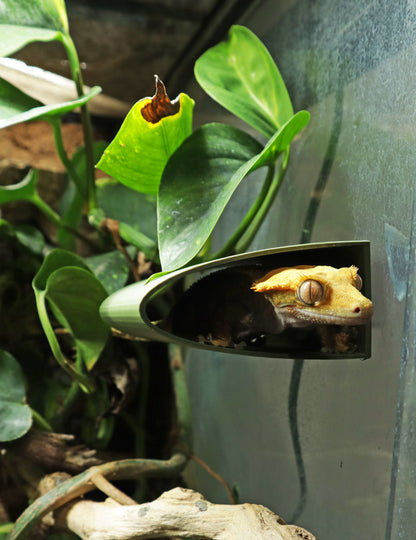 Gecko Tunnel Ledge Hide