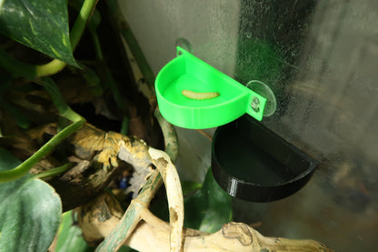 Arboreal Suction Dish For Geckos & Frogs